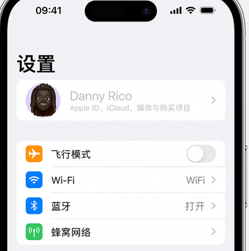 施秉appleID维修服务iPhone设置中Apple ID显示为灰色无法使用 