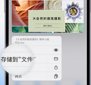 施秉apple维修中心分享iPhone文件应用中存储和找到下载文件