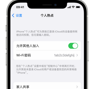 施秉apple服务站点分享iPhone上个人热点丢失了怎么办 