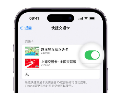 施秉apple维修点分享iPhone上更换Apple Pay快捷交通卡手绘卡面 