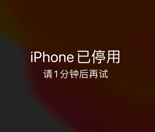 施秉苹果手机维修分享:iPhone 显示“不可用”或“已停用”怎么办？还能保留数据吗？ 