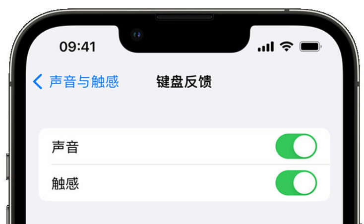 施秉苹果手机维修分享iPhone 14触感键盘使用方法 