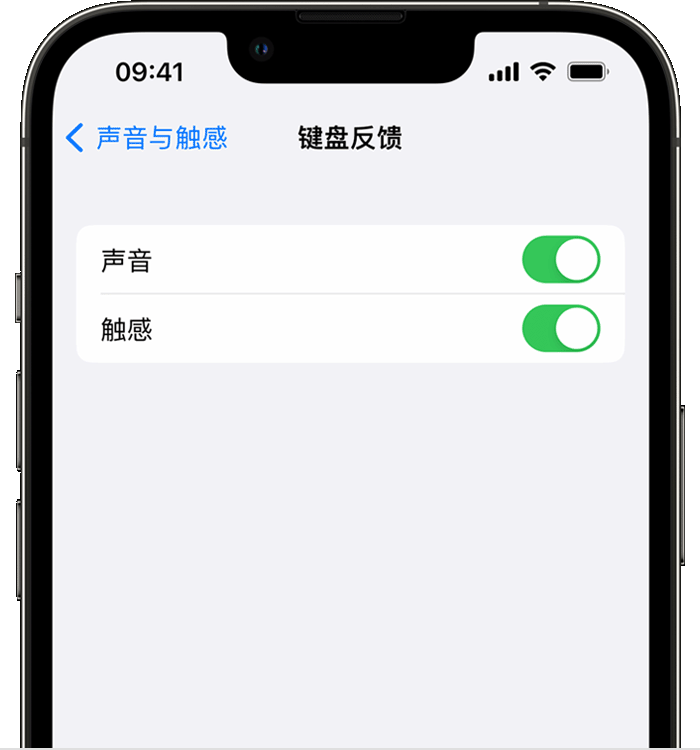 施秉苹果14维修店分享如何在 iPhone 14 机型中使用触感键盘 