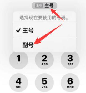 施秉苹果14维修店分享iPhone 14 Pro Max使用副卡打电话的方法 