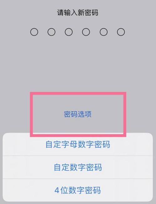 施秉苹果14维修分享iPhone 14plus设置密码的方法 