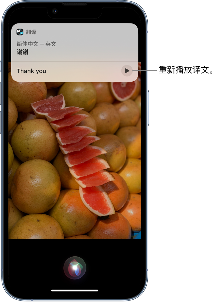 施秉苹果14维修分享 iPhone 14 机型中使用 Siri：了解 Siri 能帮你做什么 