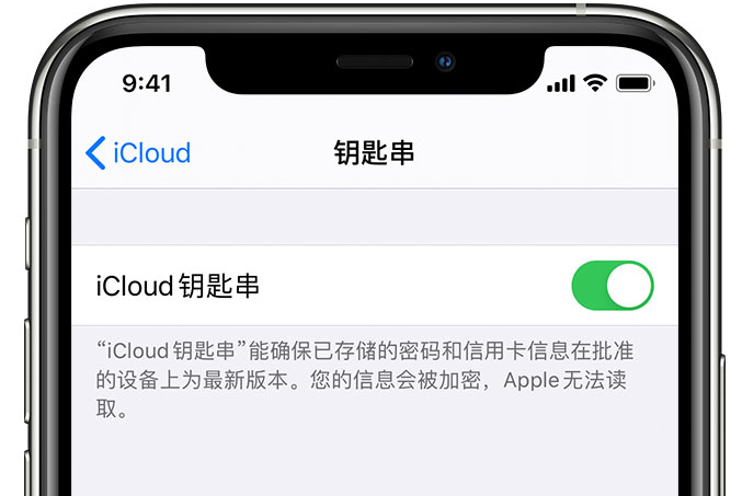 施秉苹果手机维修分享在 iPhone 上开启 iCloud 钥匙串之后会储存哪些信息 