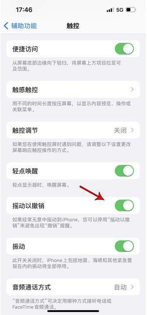 施秉苹果手机维修分享iPhone手机如何设置摇一摇删除文字 